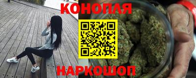 гидра Бузулук