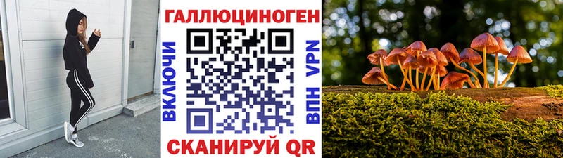 где продают наркотики Малоярославец Галлюциногенные грибы мухоморы