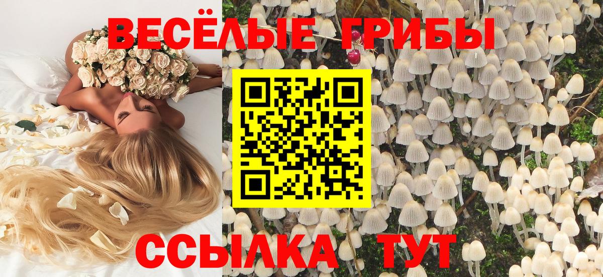 Псилоцибиновые грибы Cubensis Малоярославец