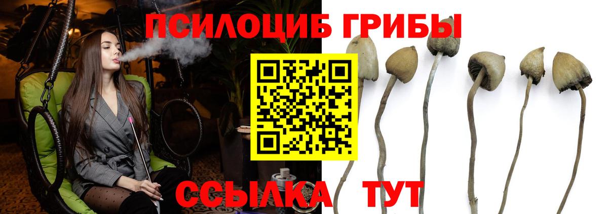 Галлюциногенные грибы мицелий  закладки  Малоярославец  Вход с VPN 